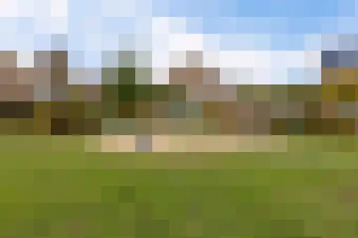 Bosscher-ven 20 Horn thumbnail 38