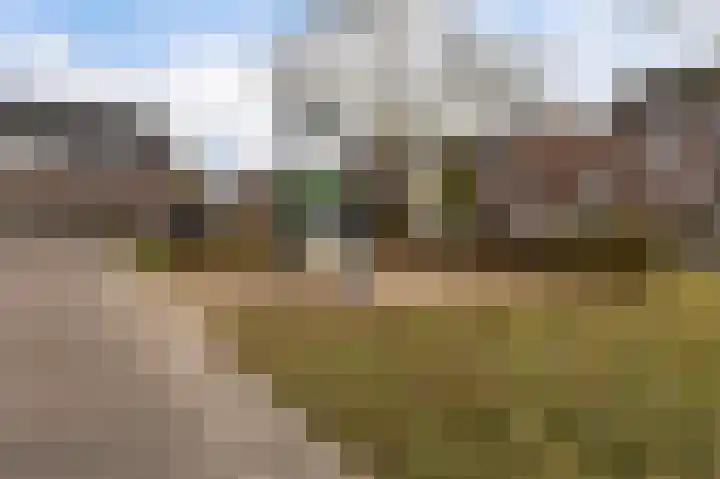 Bosscher-ven 20 Horn thumbnail 39