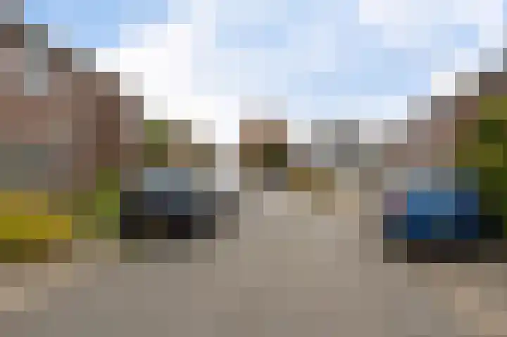 Bosscher-ven 20 Horn thumbnail 4