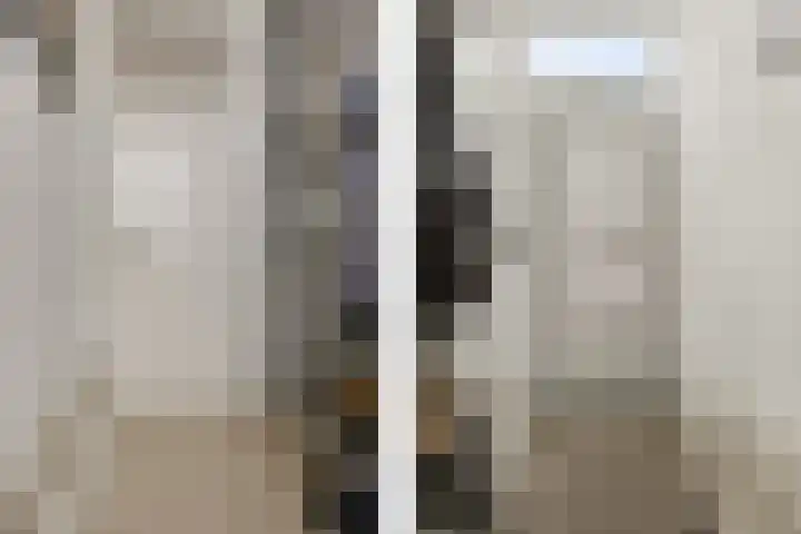 Bosscher-ven 20 Horn thumbnail 5