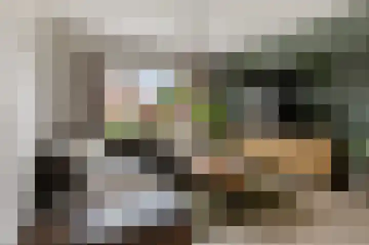 Bosscher-ven 20 Horn thumbnail 8