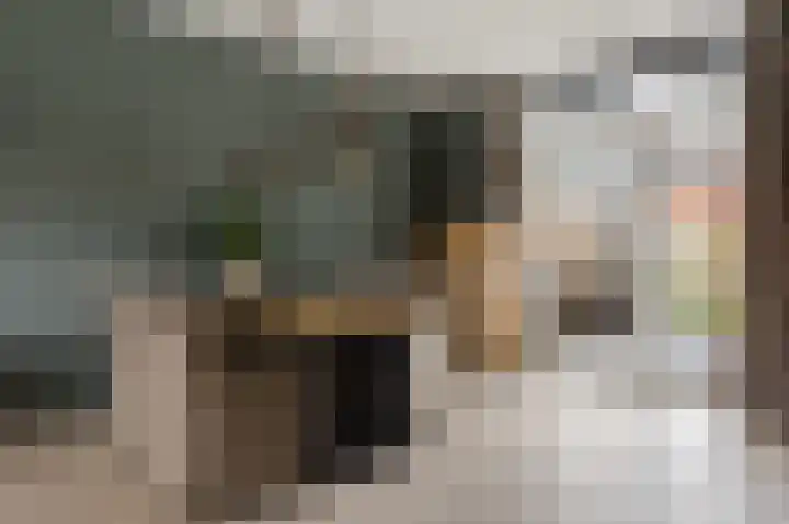 Bosscher-ven 20 Horn thumbnail 9