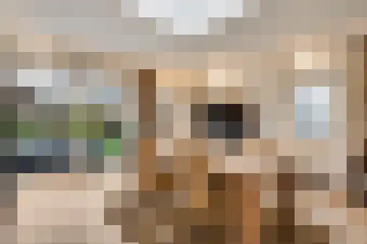 Bosscher-ven 61 Horn thumbnail 11