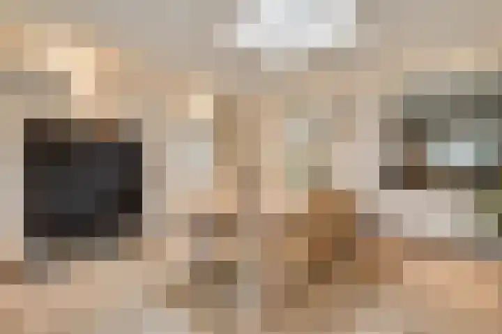 Bosscher-ven 61 Horn thumbnail 12