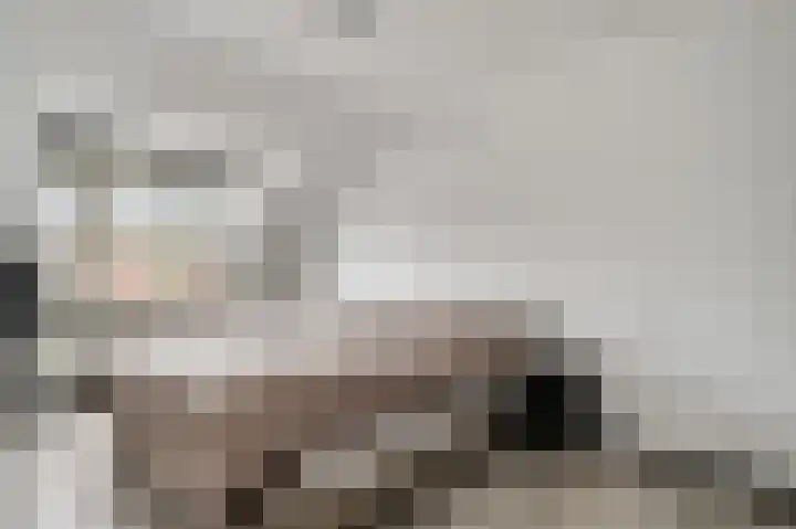 Bosscher-ven 61 Horn thumbnail 17