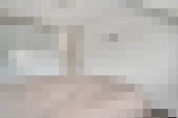 Bosscher-ven 61 Horn thumbnail 18