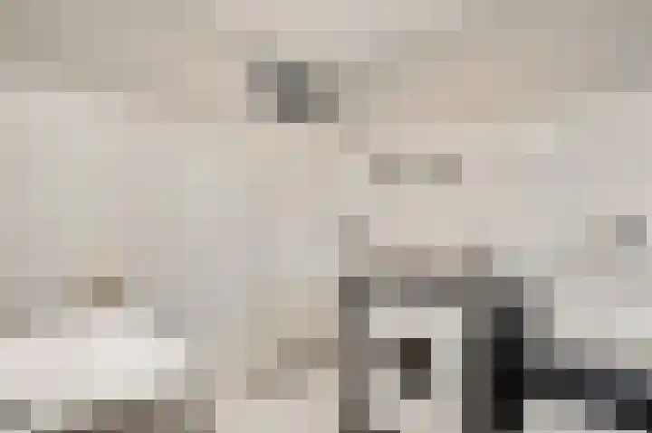 Bosscher-ven 61 Horn thumbnail 22