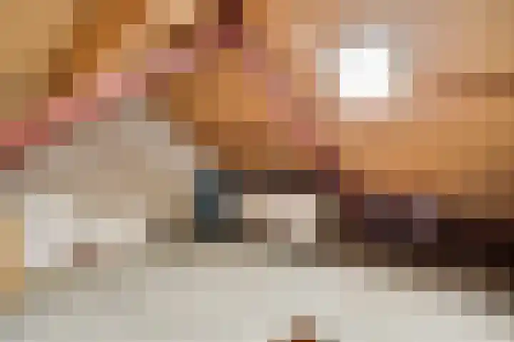 Bosscher-ven 61 Horn thumbnail 24