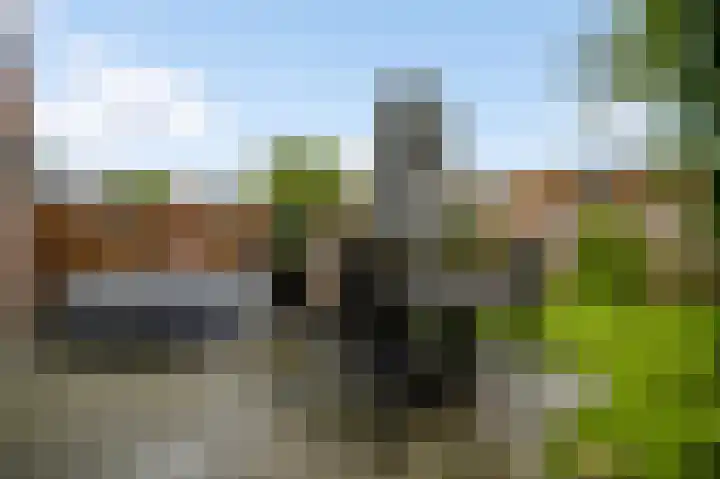 Bosscher-ven 61 Horn thumbnail 27