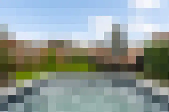 Bosscher-ven 61 Horn thumbnail 28