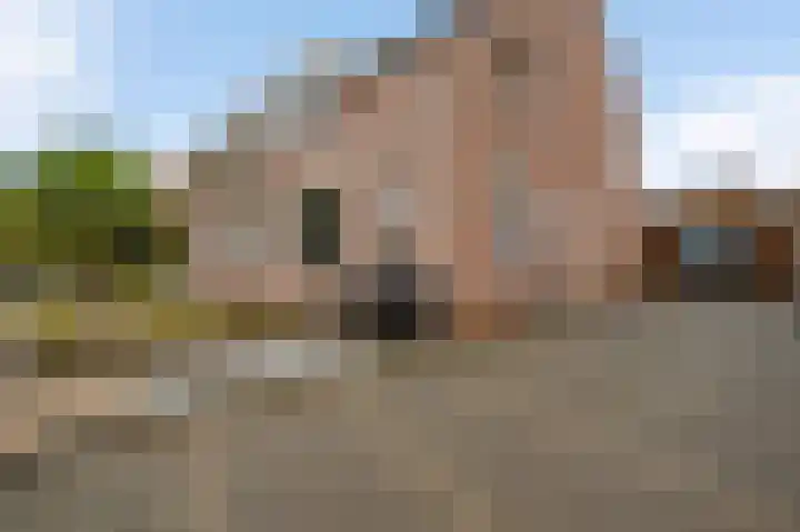 Bosscher-ven 61 Horn thumbnail 29