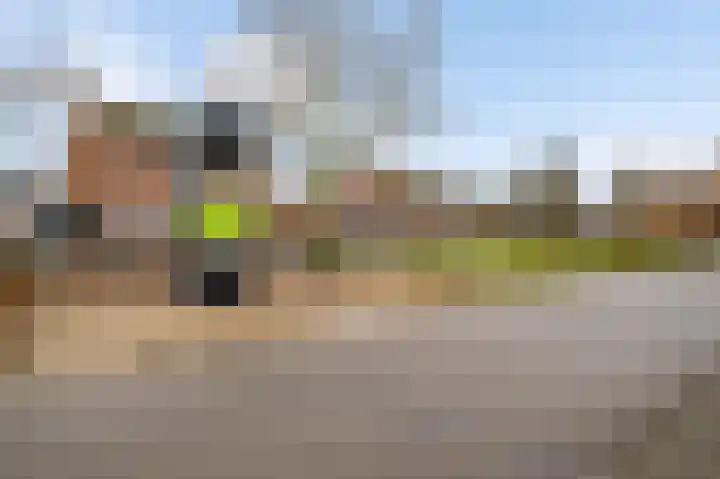 Bosscher-ven 61 Horn thumbnail 31