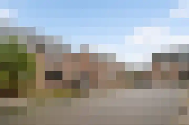 Bosscher-ven 61 Horn thumbnail 32