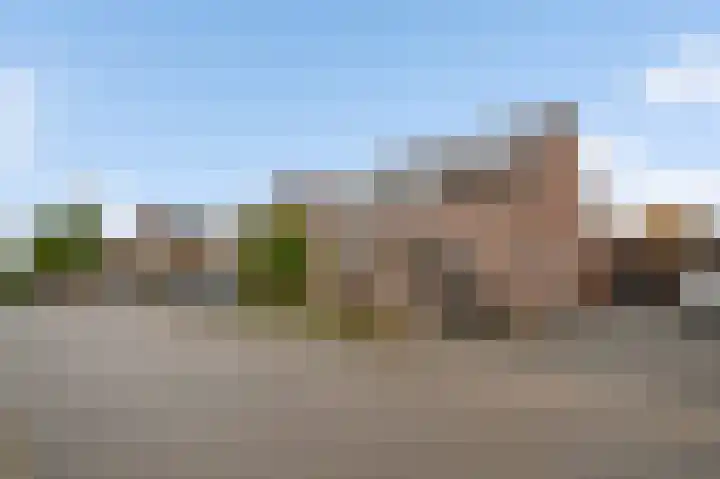 Bosscher-ven 61 Horn thumbnail 33
