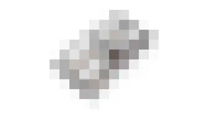 Bosscher-ven 61 Horn thumbnail 39