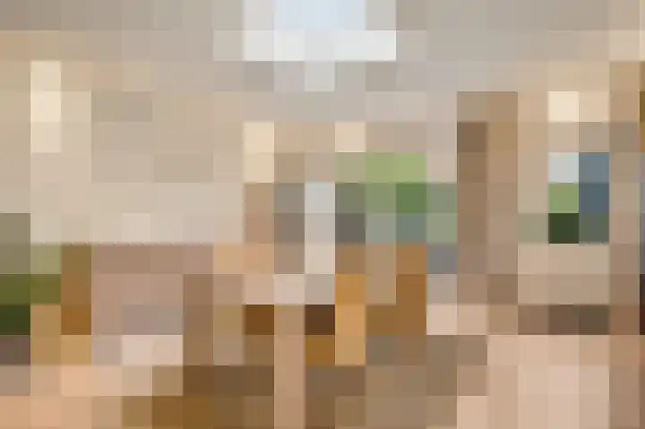 Bosscher-ven 61 Horn thumbnail 4