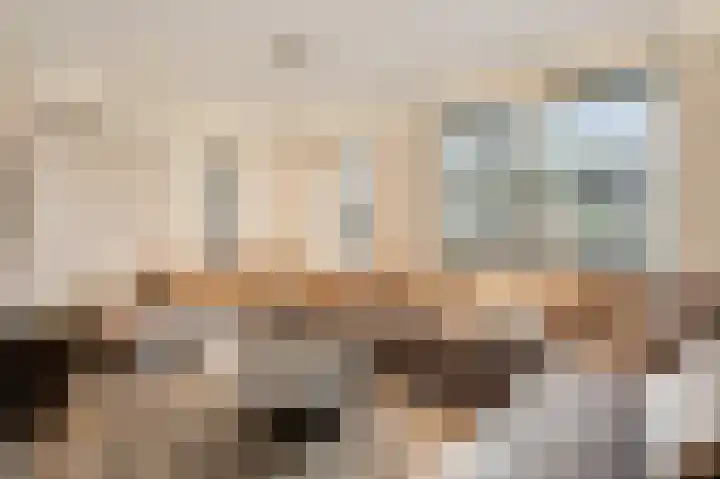 Bosscher-ven 61 Horn thumbnail 7