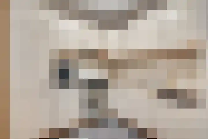 Bosscher-ven 61 Horn thumbnail 9