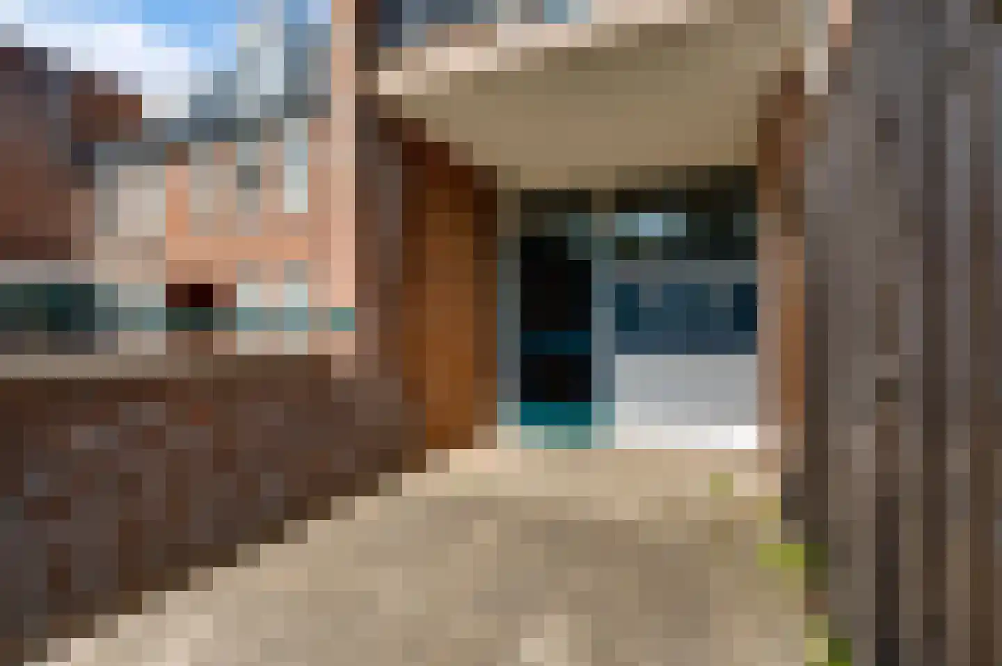 Bosscherhof 16 Herkenbosch thumbnail 4