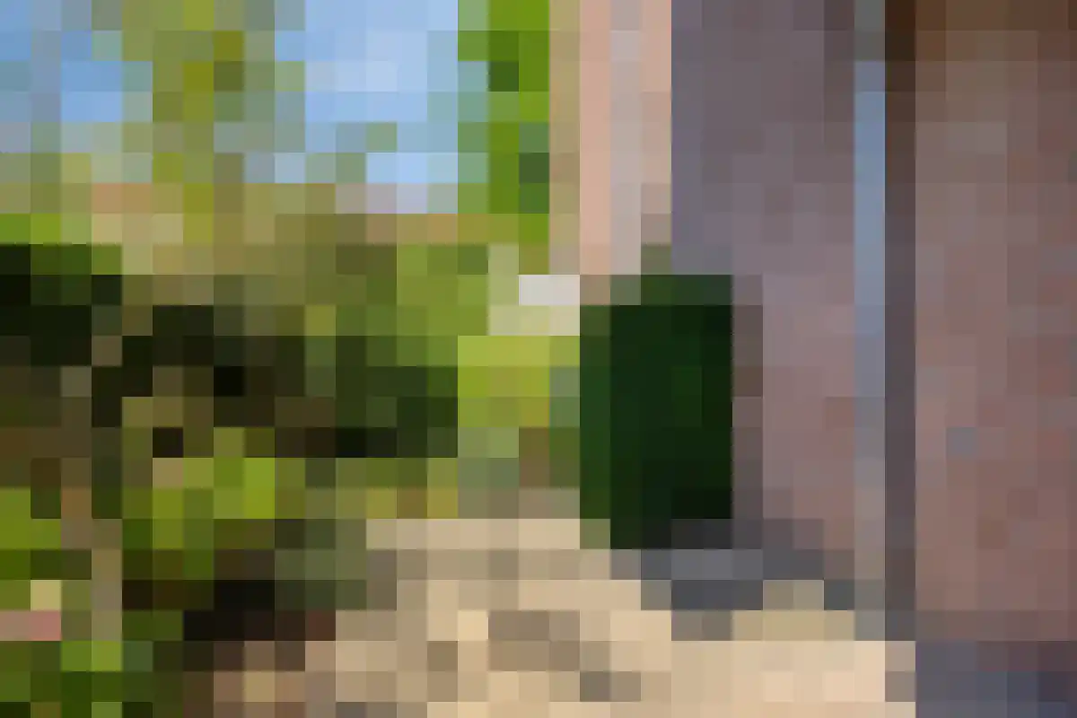 Bosscherhof 26 Herkenbosch thumbnail 6