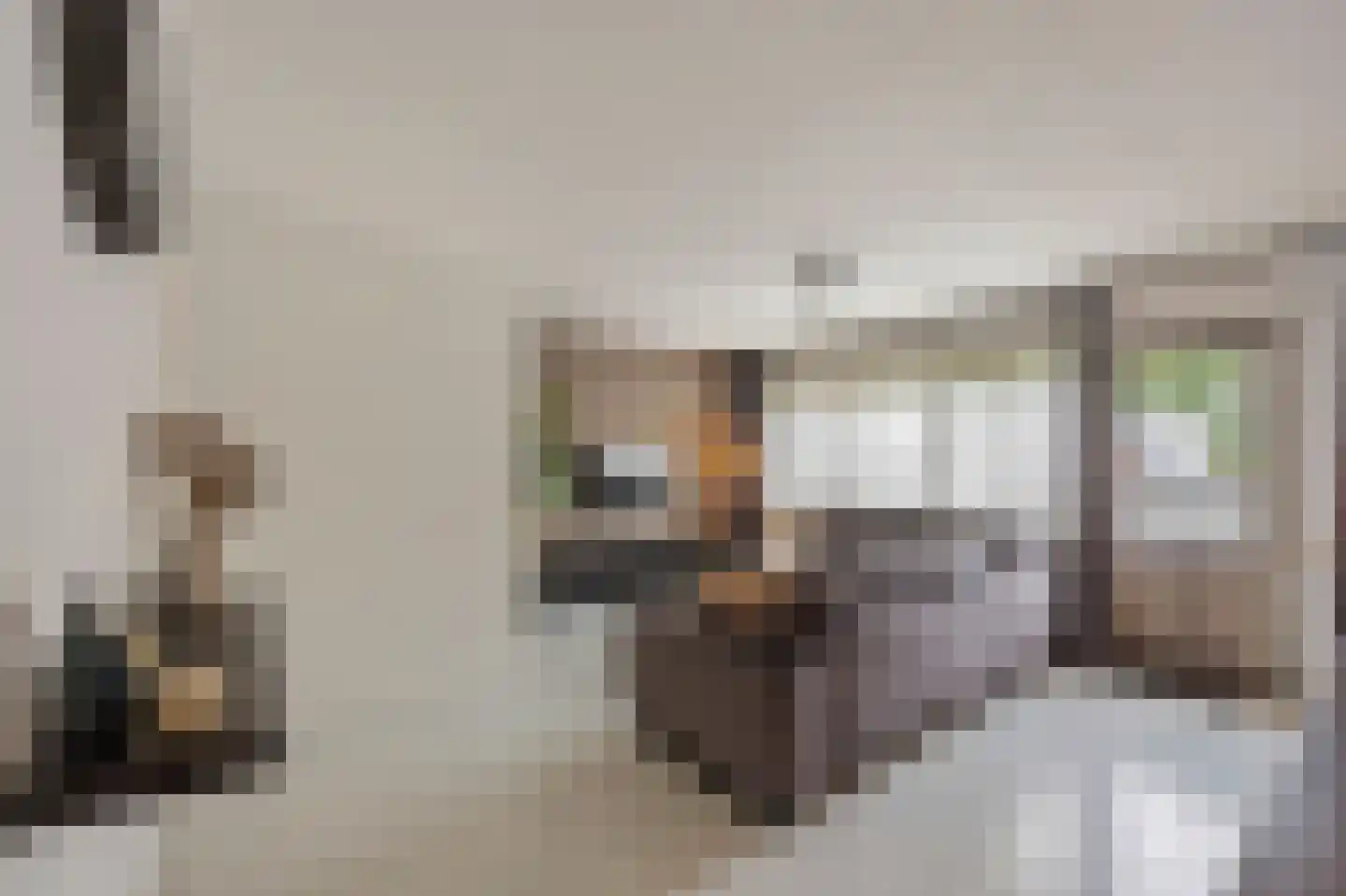 Bosscherhof 36 Herkenbosch thumbnail 12