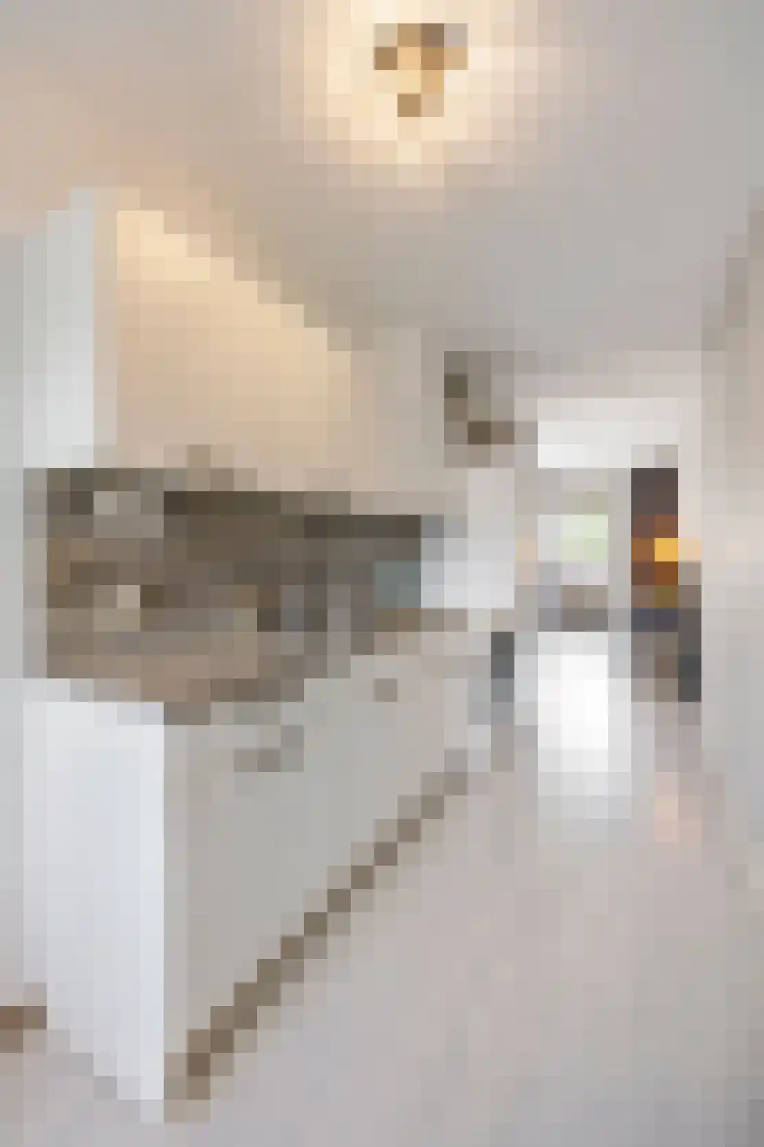 Bosscherhof 36 Herkenbosch thumbnail 15