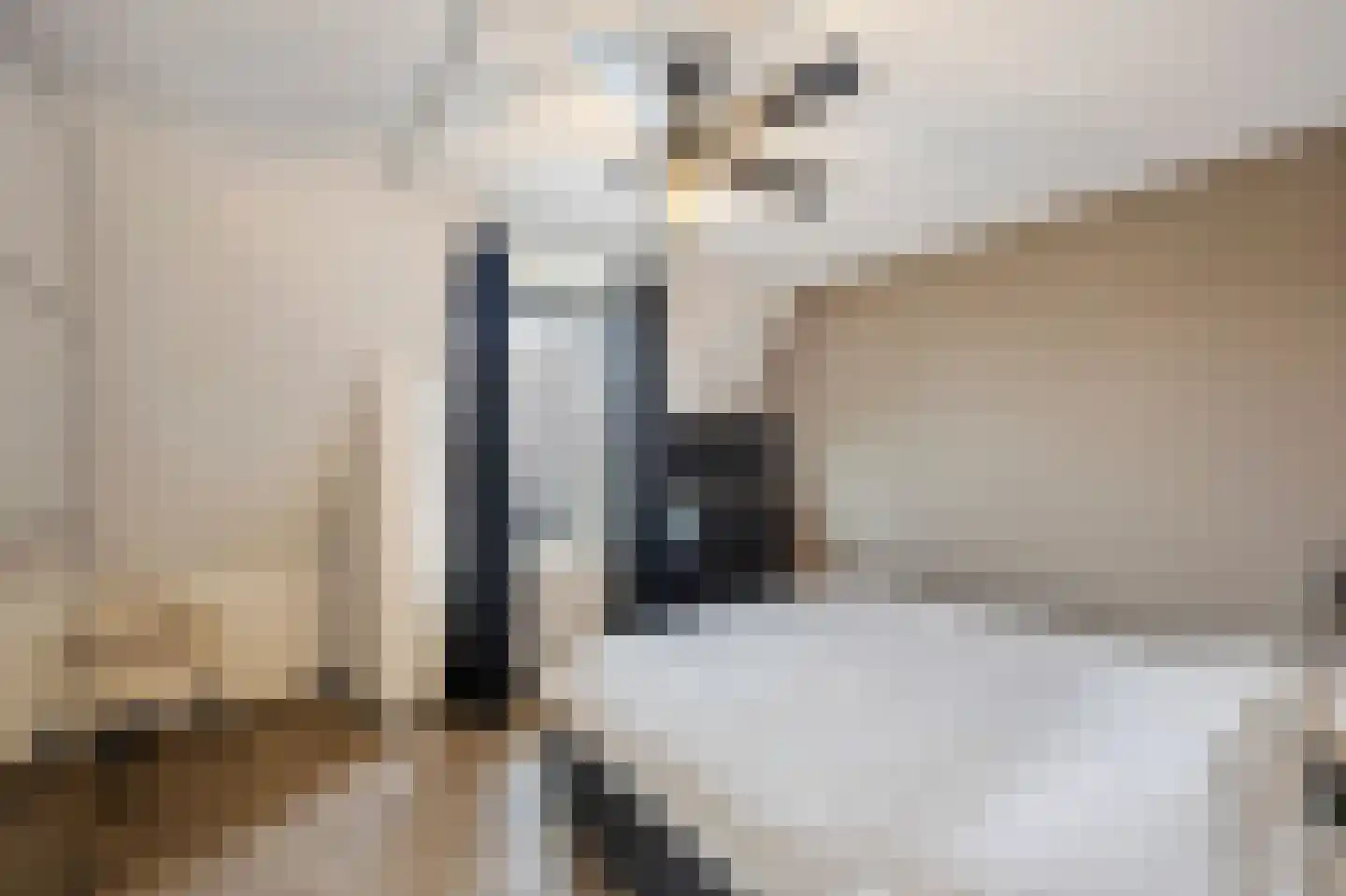 Bosscherhof 36 Herkenbosch thumbnail 21