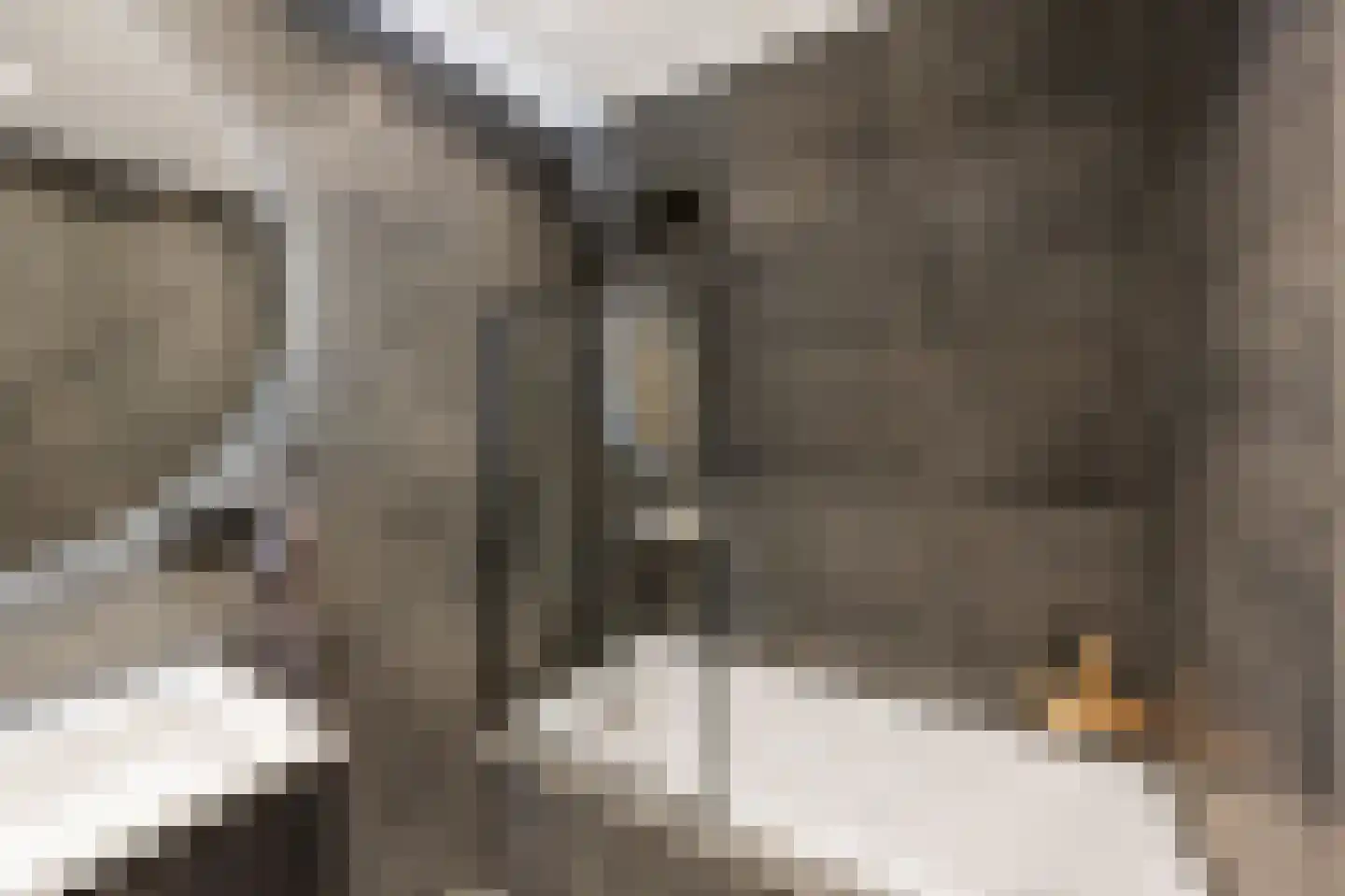 Bosscherhof 36 Herkenbosch thumbnail 23