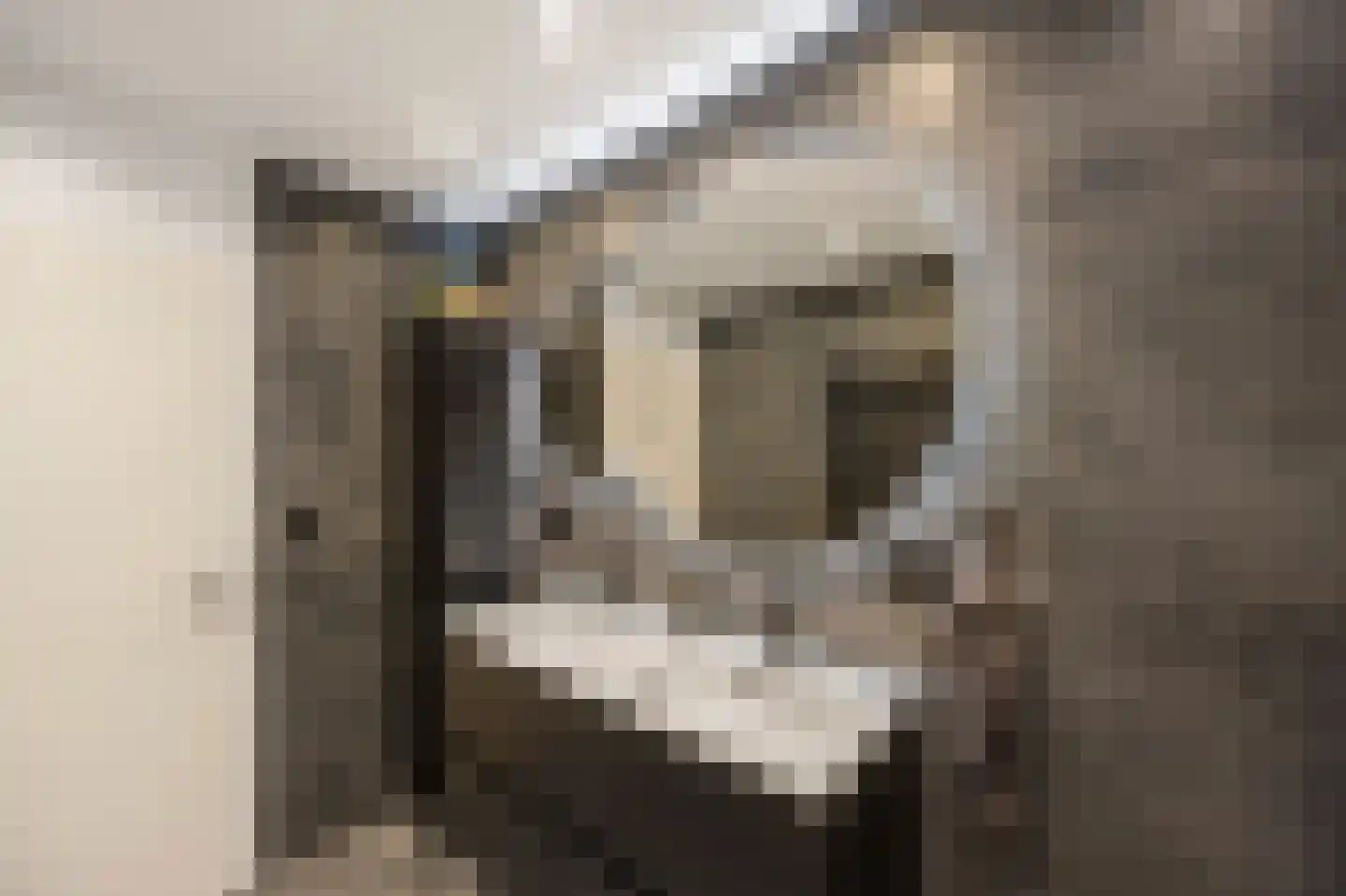 Bosscherhof 36 Herkenbosch thumbnail 24