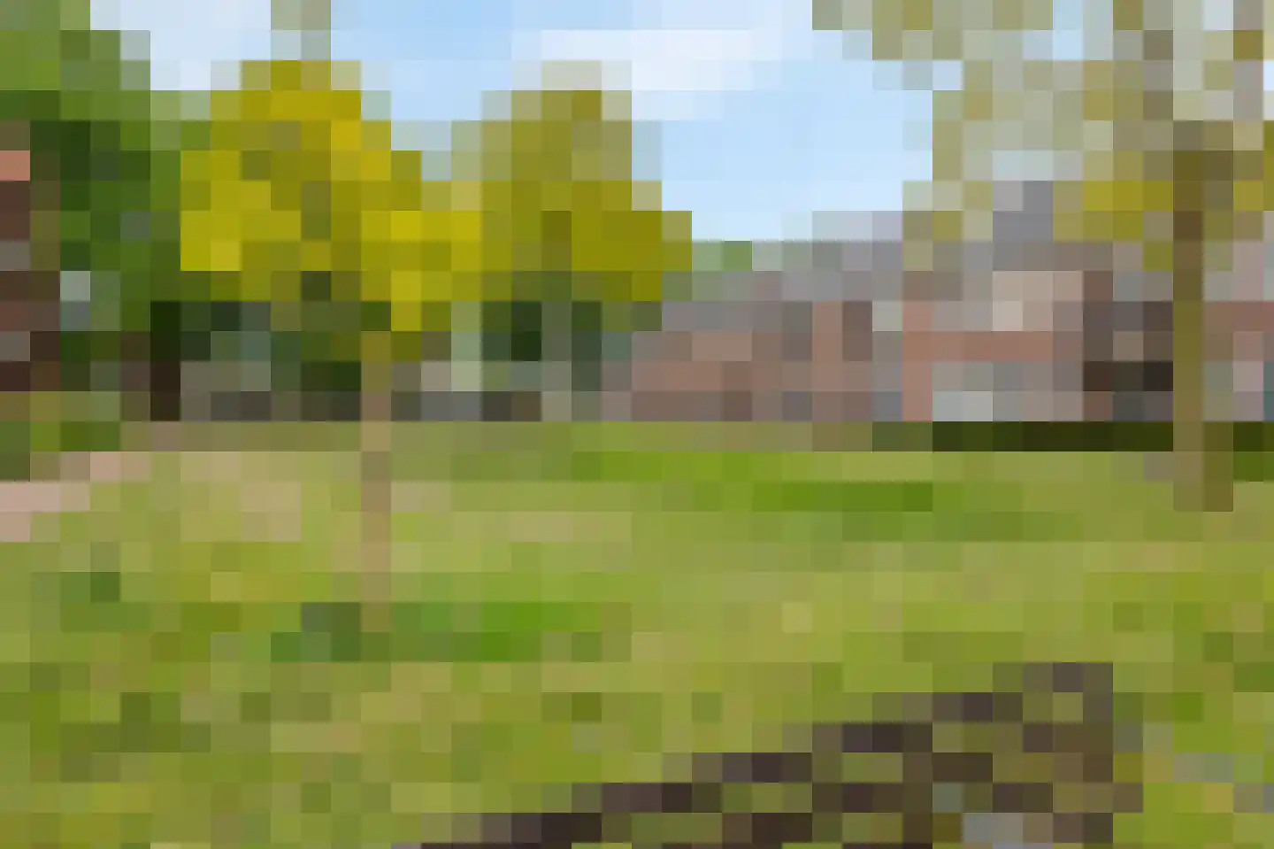 Bosscherhof 36 Herkenbosch thumbnail 29
