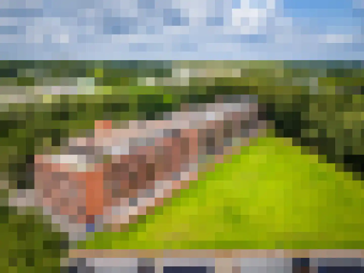 Bosscherweg 155 C Maastricht thumbnail 43