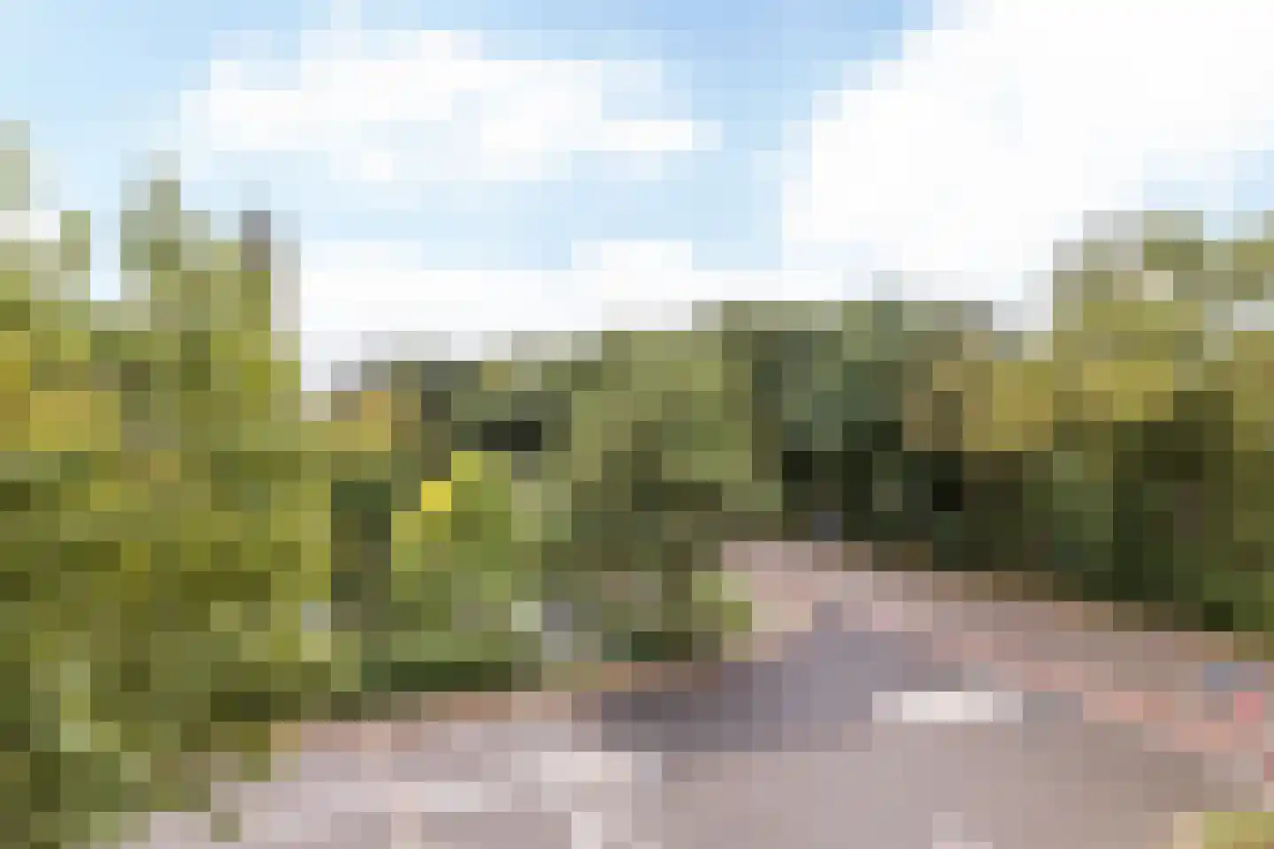 Bosscherweg 159 C Maastricht thumbnail 21