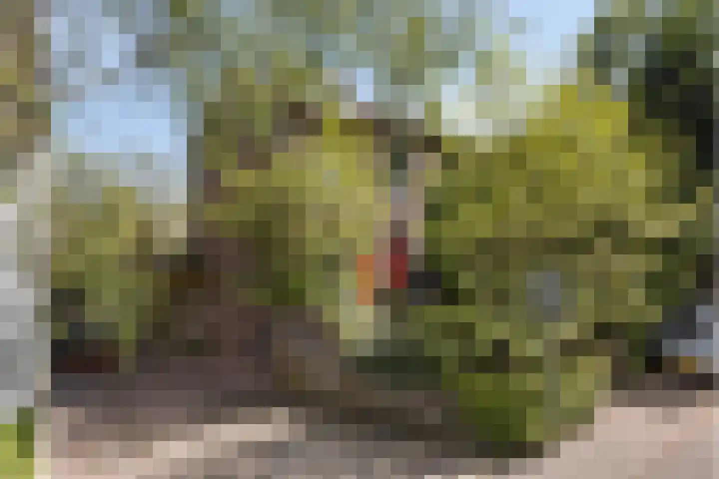 Bosscherweg 17 A Maastricht thumbnail 6