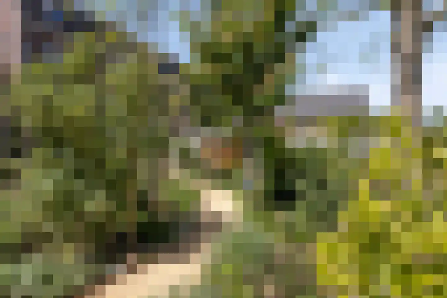 Bosscherweg 17 A Maastricht thumbnail 64