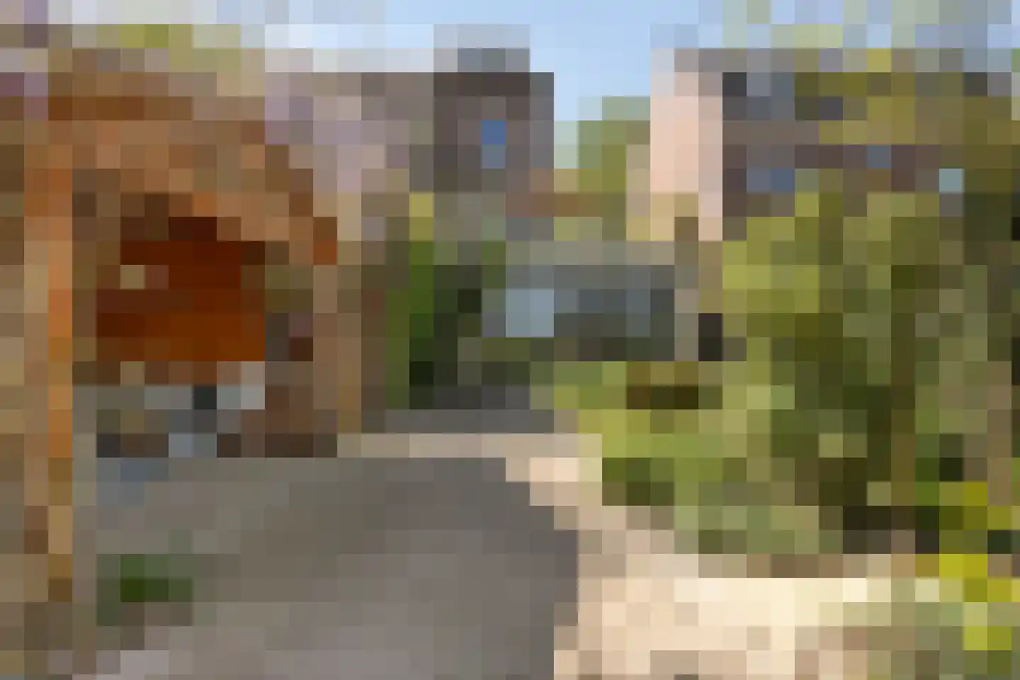 Bosscherweg 17 A Maastricht thumbnail 67