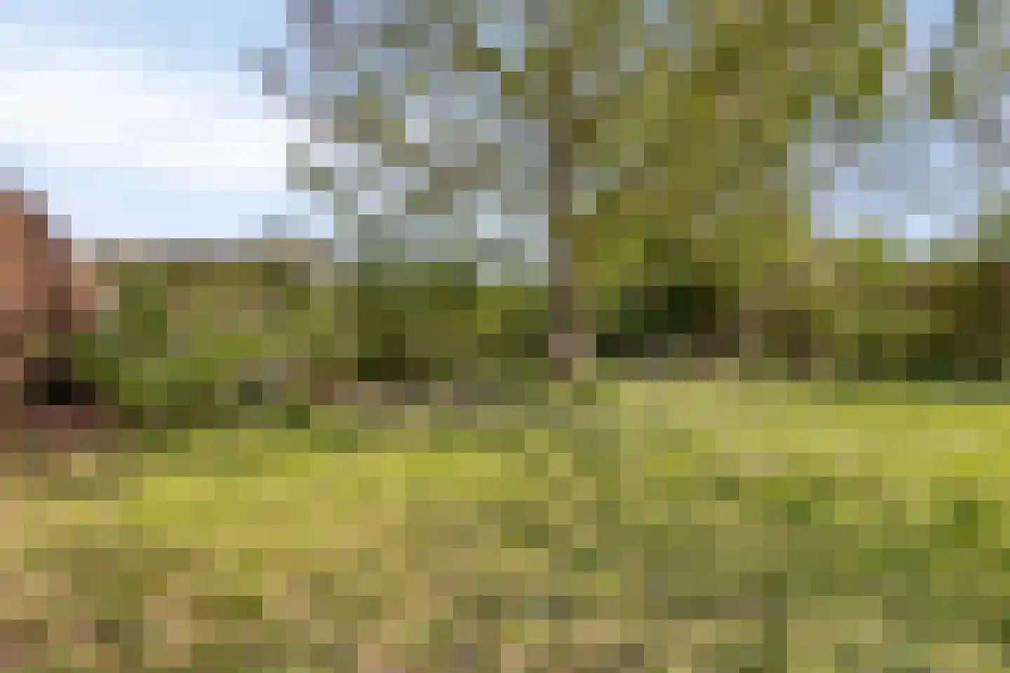 Bosscherweg 17 A Maastricht thumbnail 69