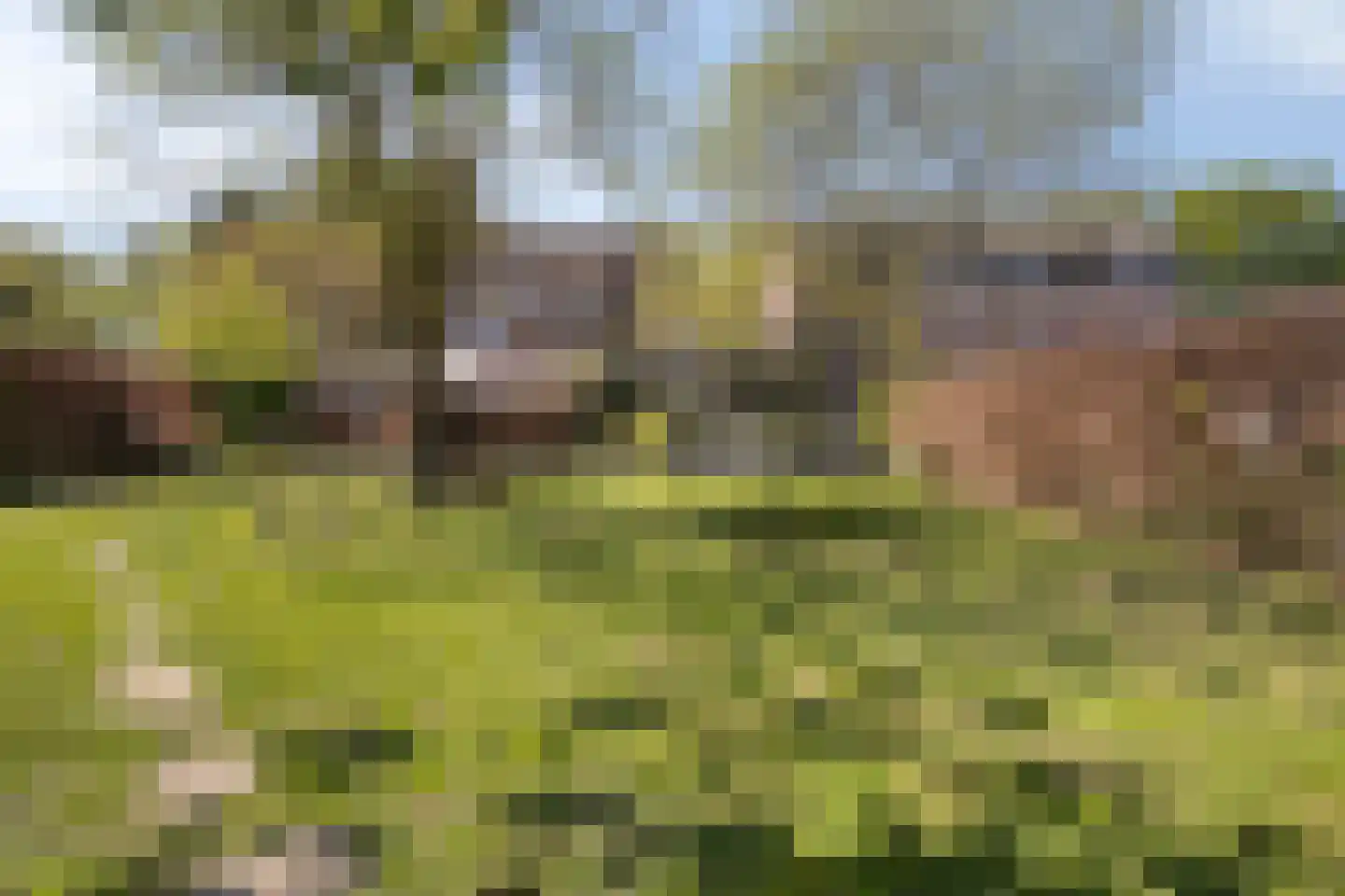 Bosscherweg 17 A Maastricht thumbnail 70