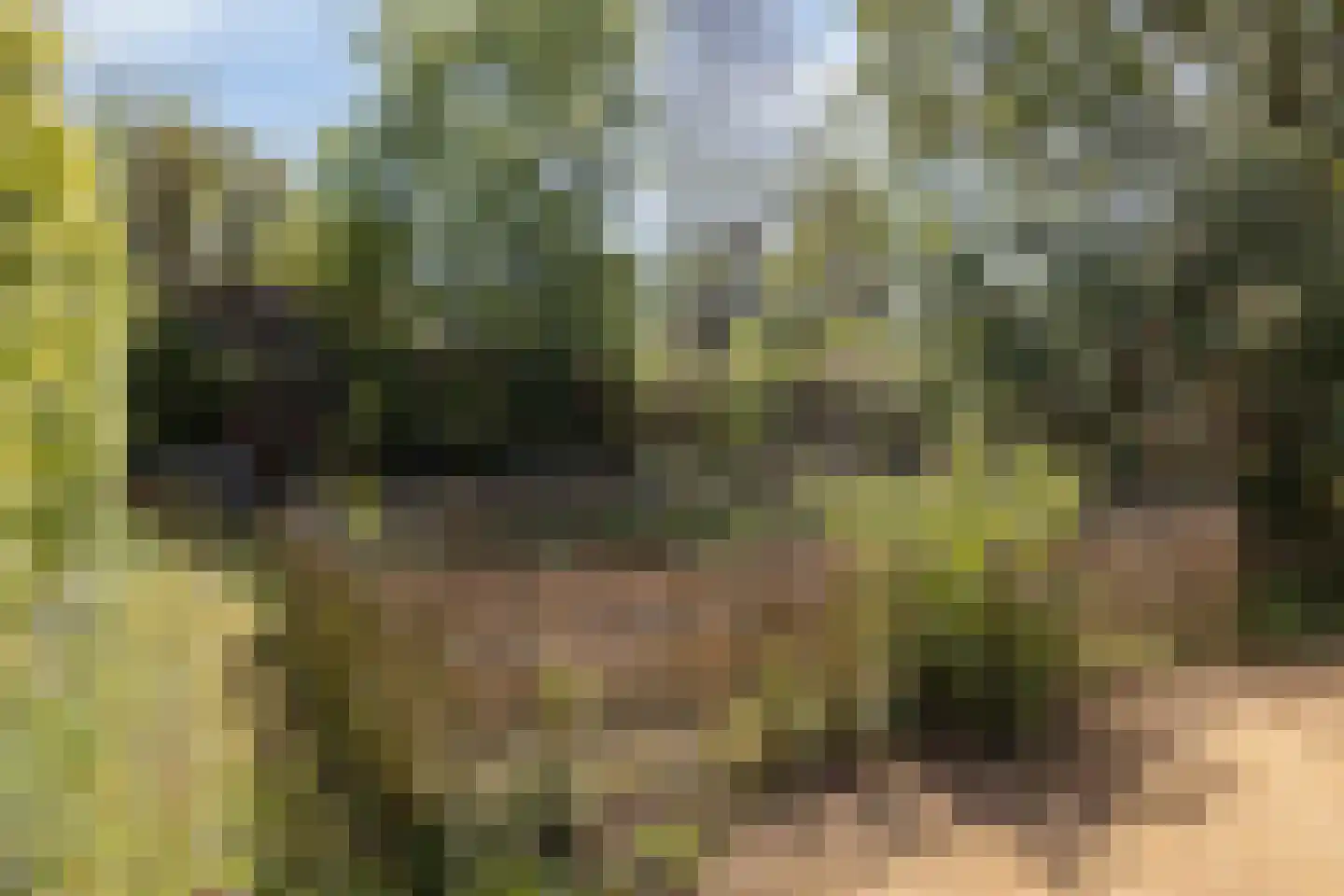 Bosscherweg 17 A Maastricht thumbnail 71