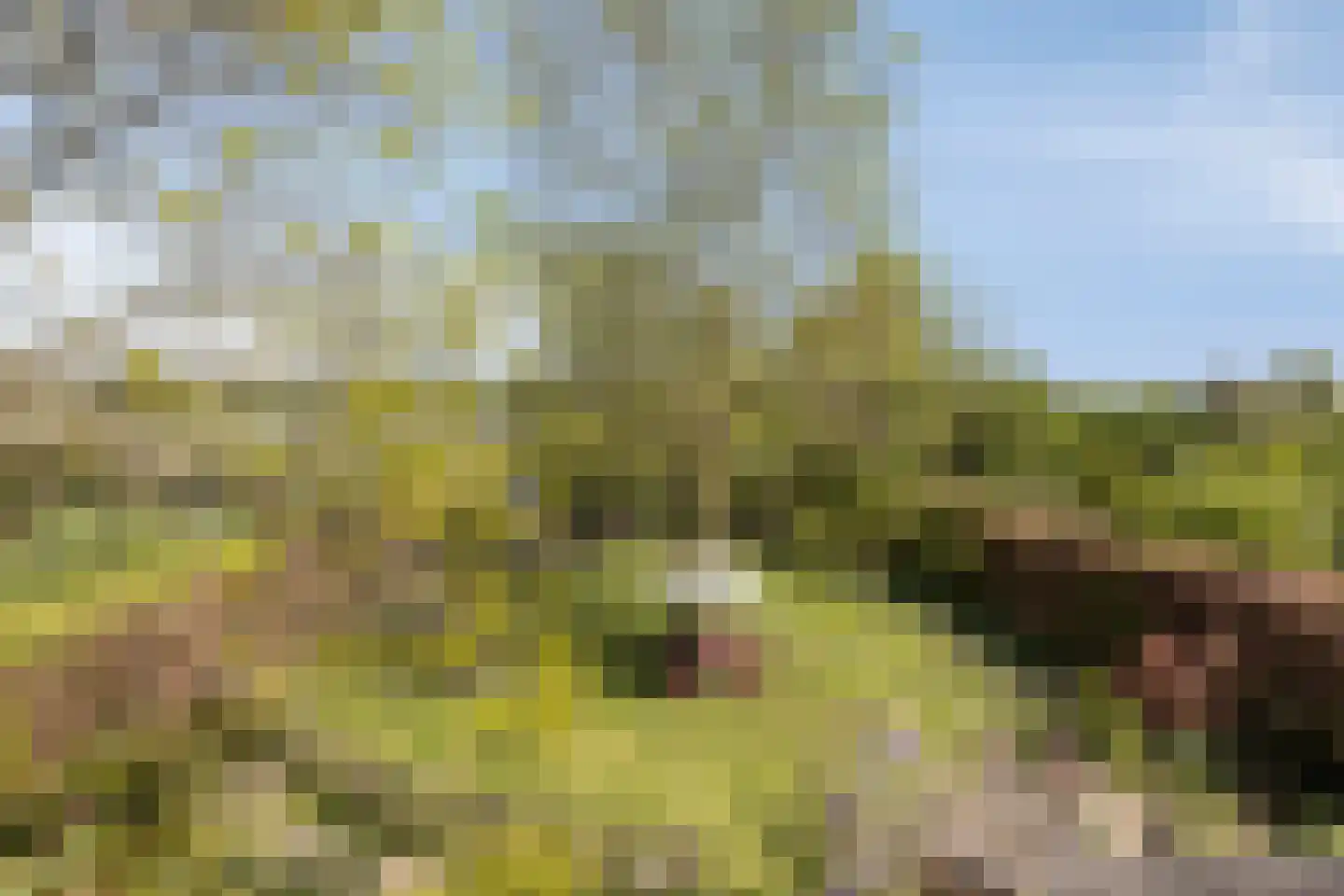 Bosscherweg 17 A Maastricht thumbnail 72