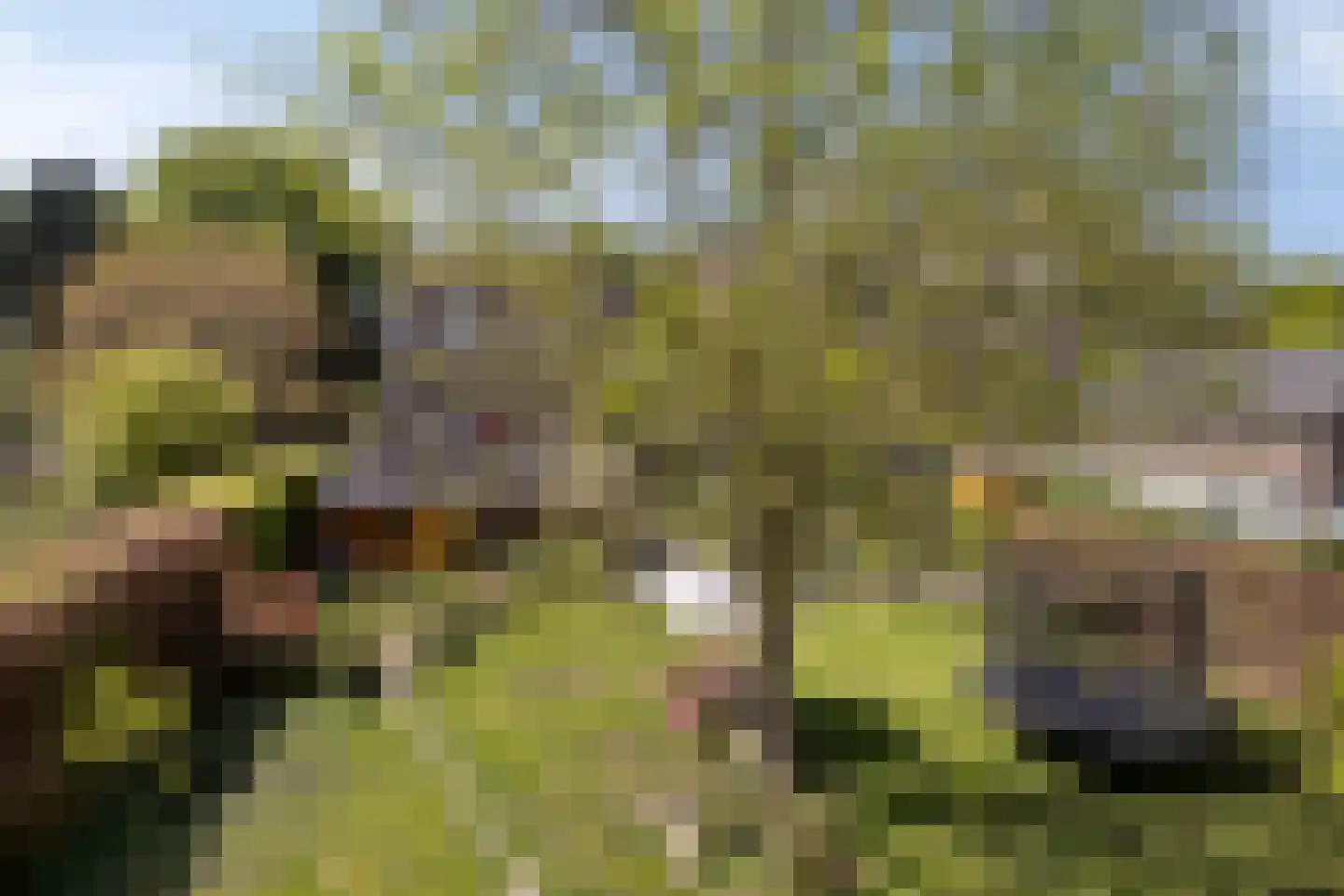 Bosscherweg 17 A Maastricht thumbnail 73