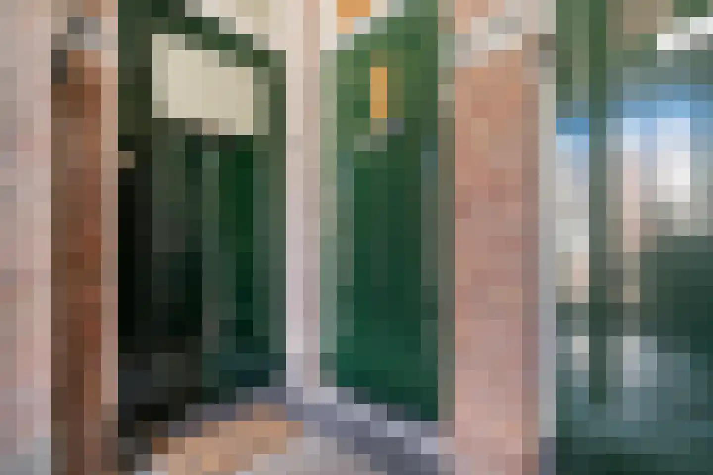 Bosschestraat 101 Den Haag thumbnail 8