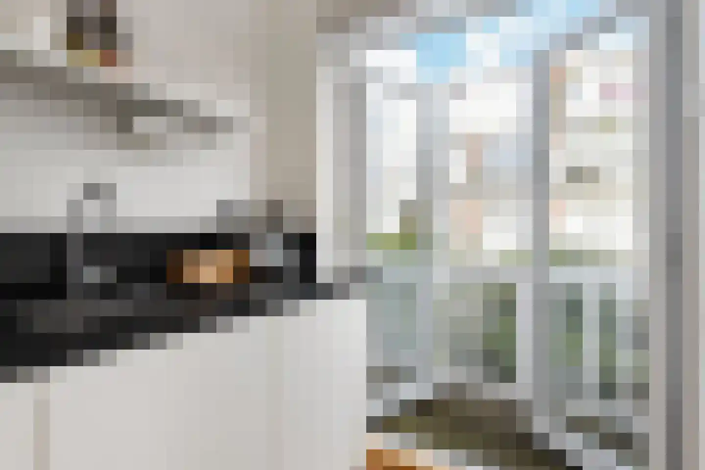 Bosschestraat 132 Den Haag thumbnail 5