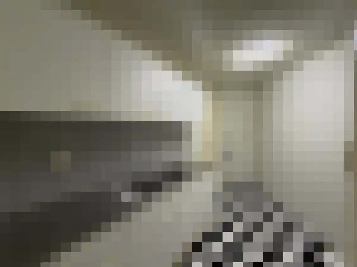 Bosschestraat 21 Den Haag thumbnail 6