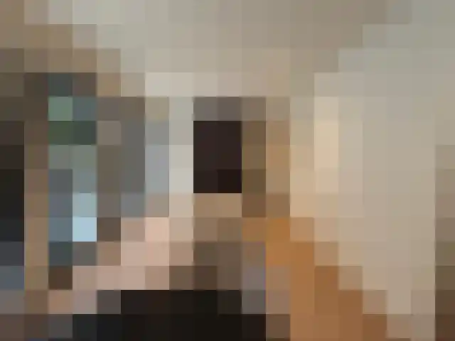 Bosschestraat 6 Den Haag thumbnail 5