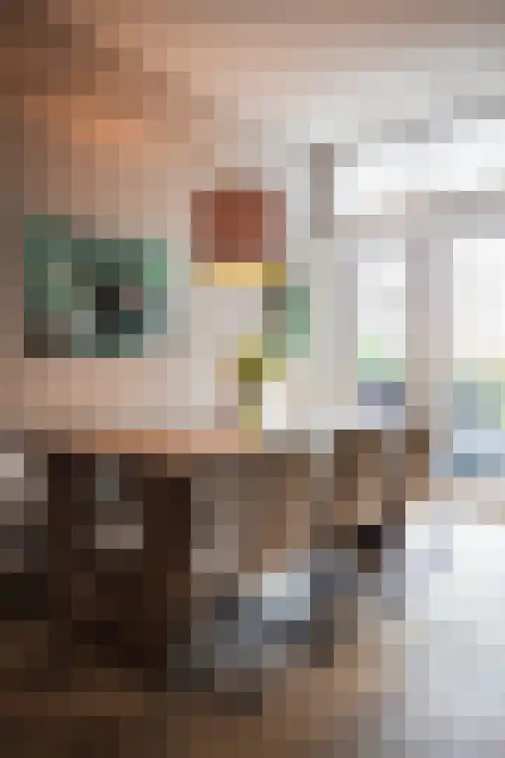 Bosschestraat 7 Den Haag thumbnail 12