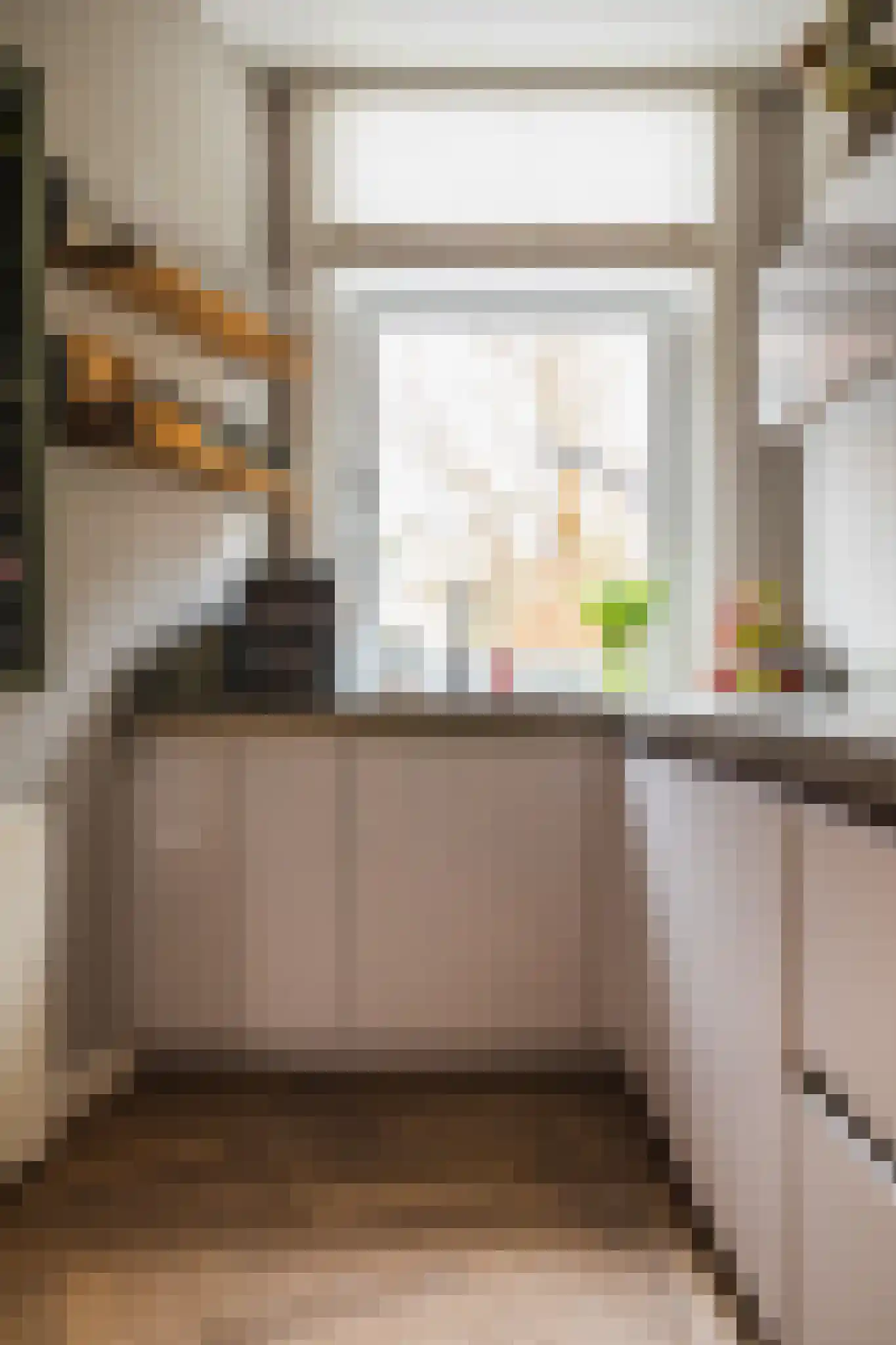 Bosschestraat 7 Den Haag thumbnail 25