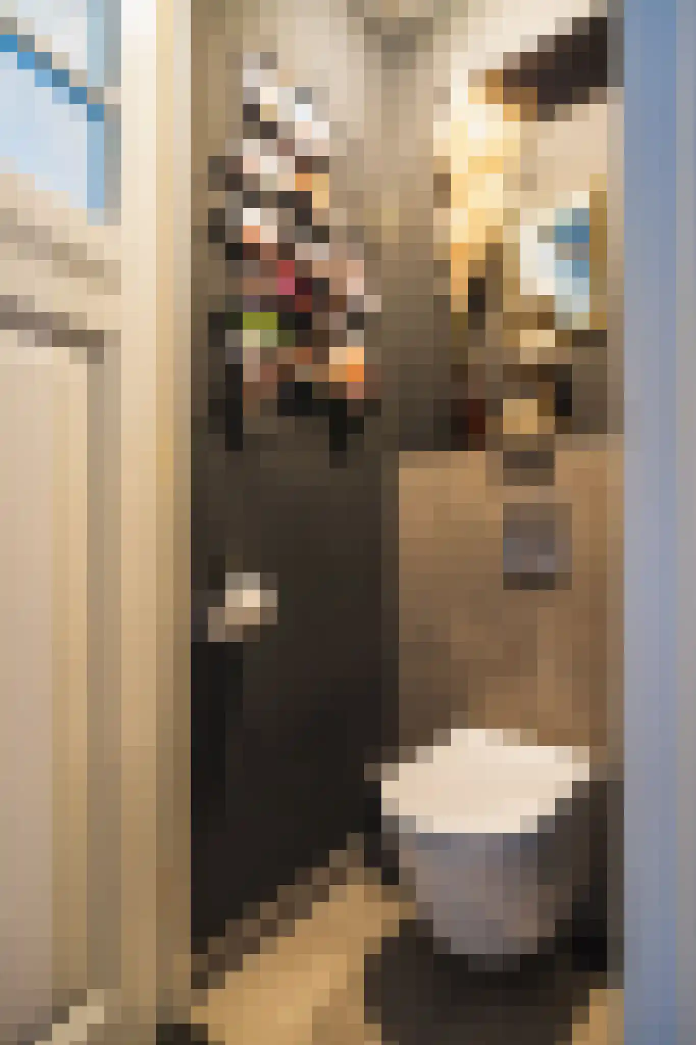 Bosschestraat 7 Den Haag thumbnail 38