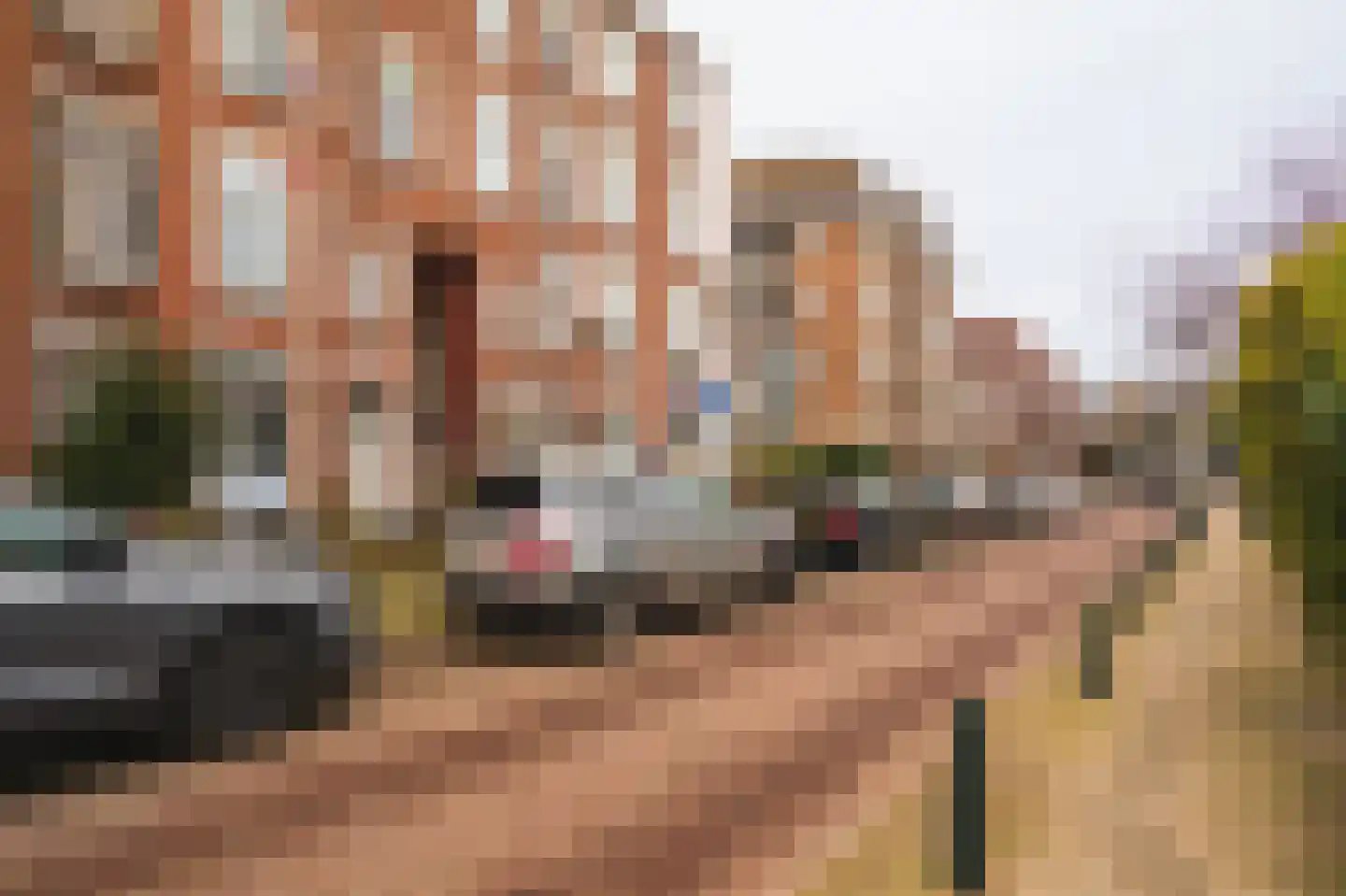 Bosschestraat 7 Den Haag thumbnail 69