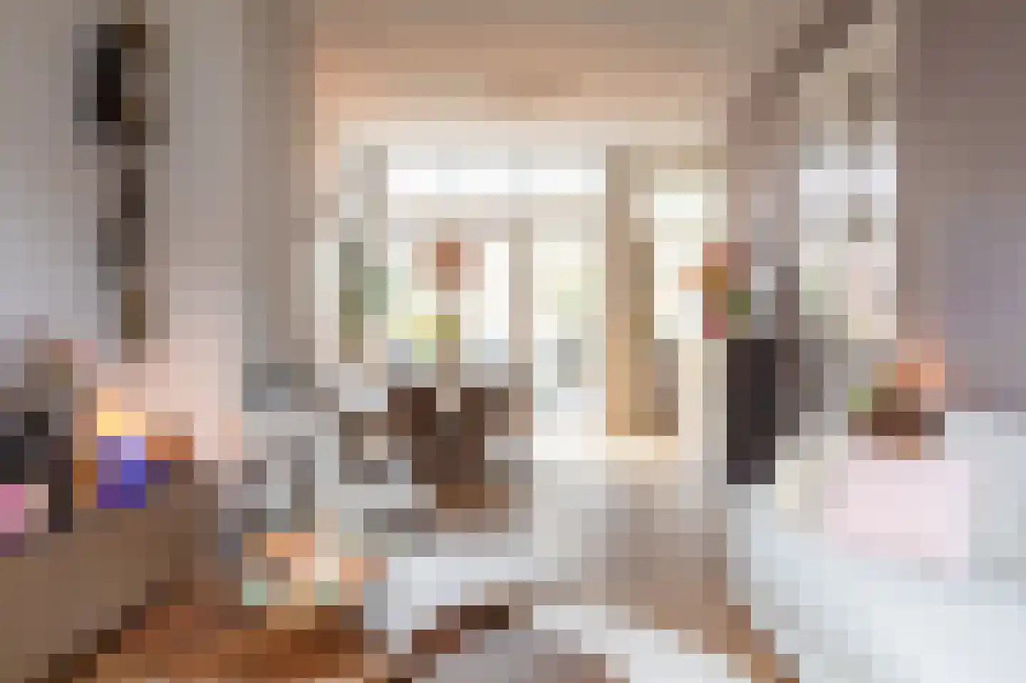 Bosschestraat 7 Den Haag thumbnail 7