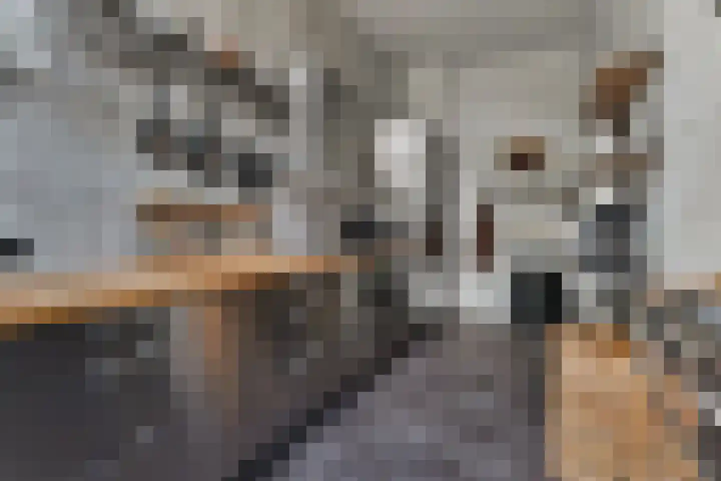 Bosschestraat 8 Den Haag thumbnail 17